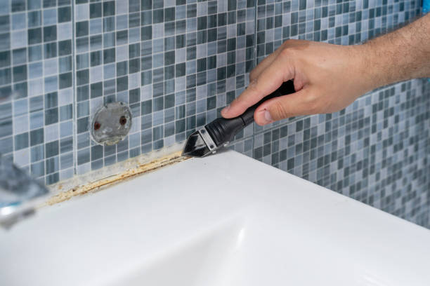 Best Mold Remediation Services  in Stromsburg, NE